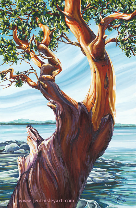 "Oceanside Dancer" Art Card