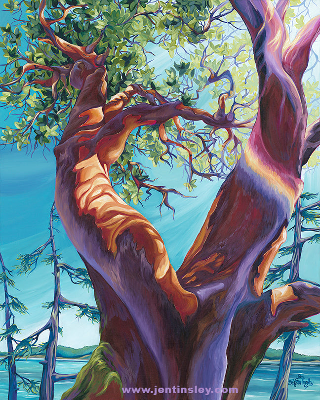 "Soaking Up the Rays" Limited Edition Print