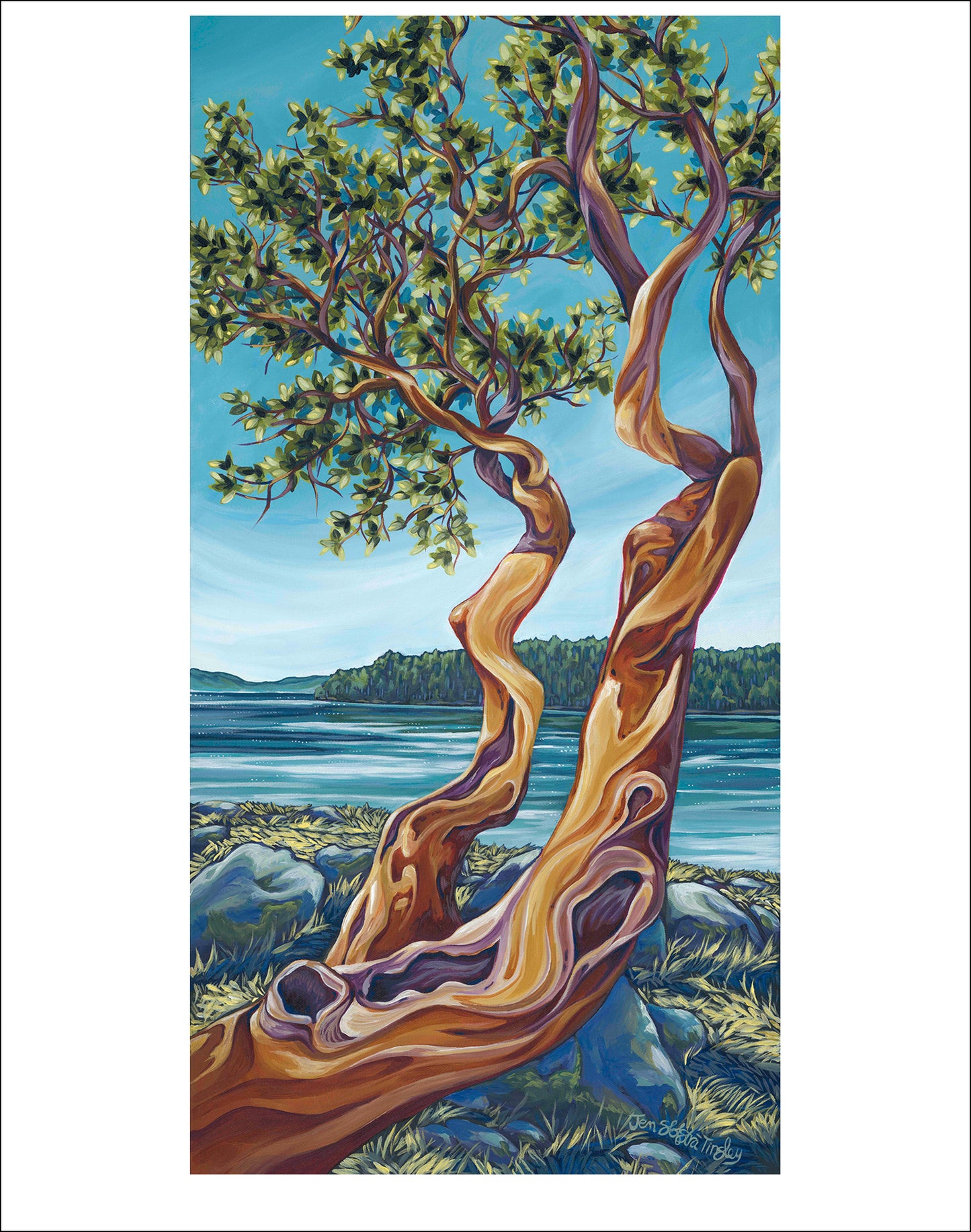 "The Islander" 11 x 14" giclee paper print