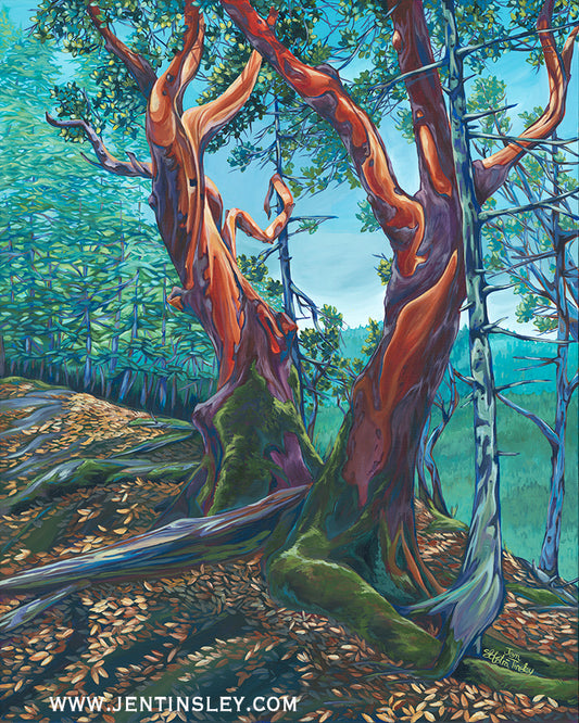 Amongst Friends Limited Edition Print