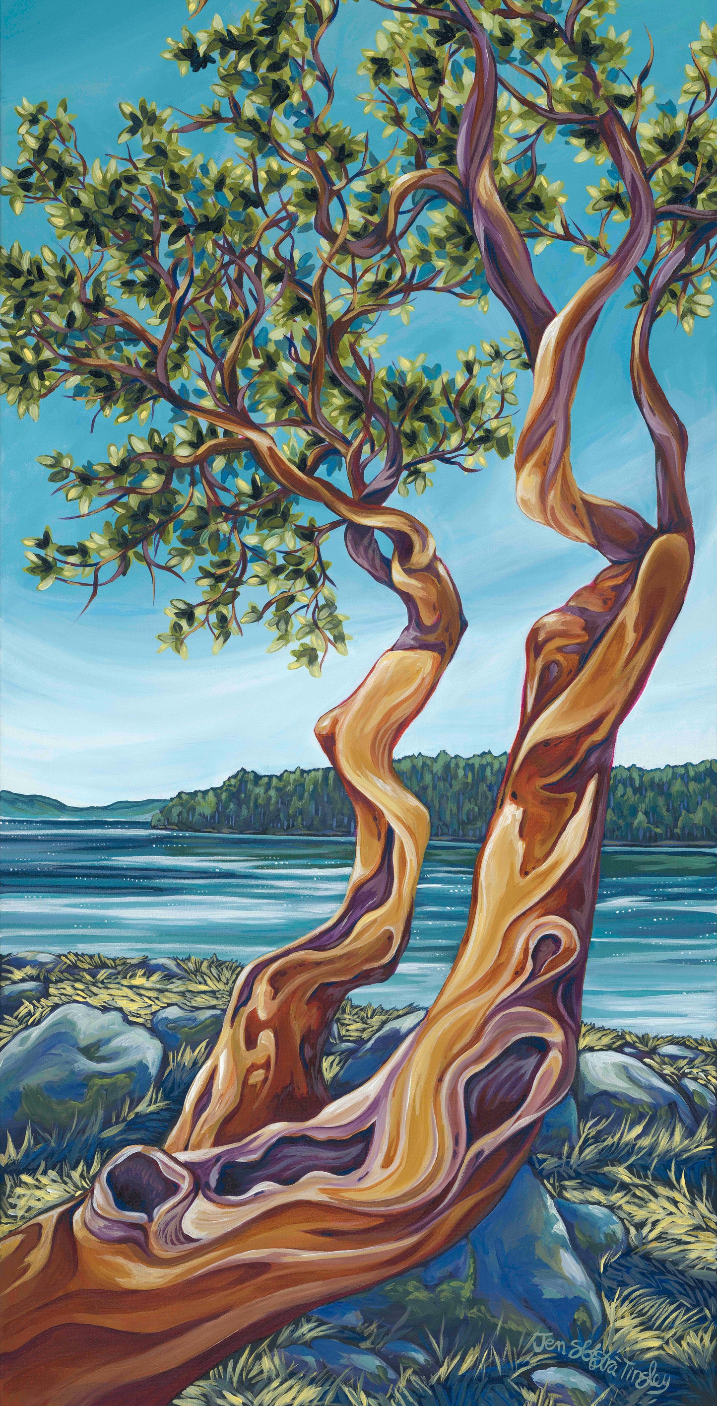 The Islander Art Card