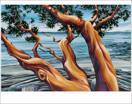 Seaside Symphony paper print